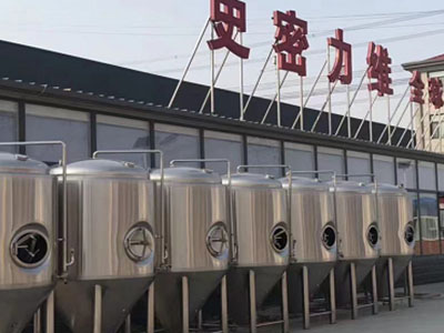 乌苏精酿啤酒设备厂—如何判断精酿啤酒设备的密封件需要更换？
